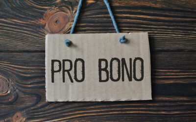 Pro Bono Legal Work in 2021