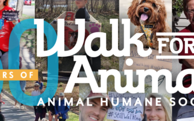 Giving Back – Animal Humane Society Walk for Animal